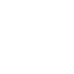 fema Industry